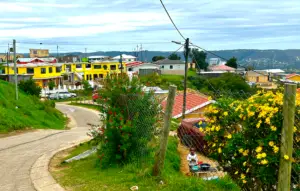 Ekasi Tour in Knysna part of Township tour